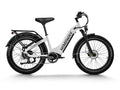 Himiway D5 ST(Zebra ST) / All-terrain Electric Fat Bike - HMW-D5-PW-ST-US-02