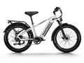 Himiway D5(Zebra) / All-terrain Electric Fat Bike - HMW-D5-PW-SO-US