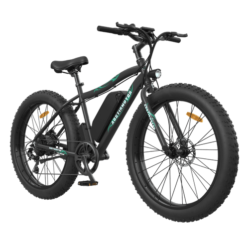 Aostirmotor S07-P 36V/13Ah 500W Fat Tire Electric Bike