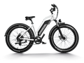 Himiway D3 ST(Cruiser ST) / All Terrain Electric Bike - CRUISER-STEP-THRU-05