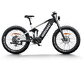 Himiway D7 Pro Mountain eBike - HMW-D7PRO-PG-US